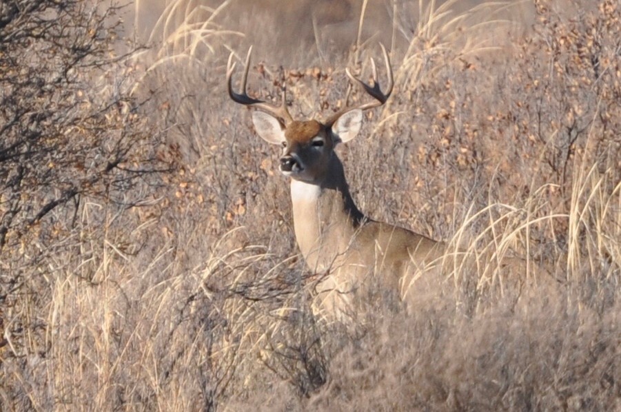 Residential Property For Sale West Texas recreation