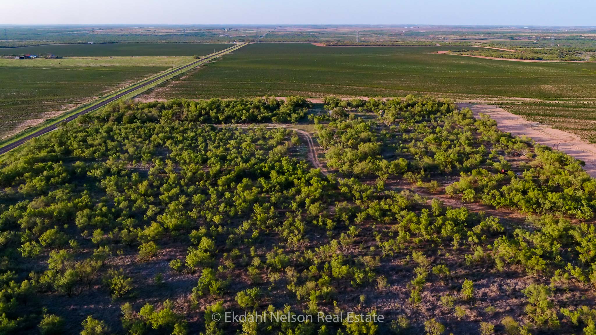 Residential property for sale Scurry County