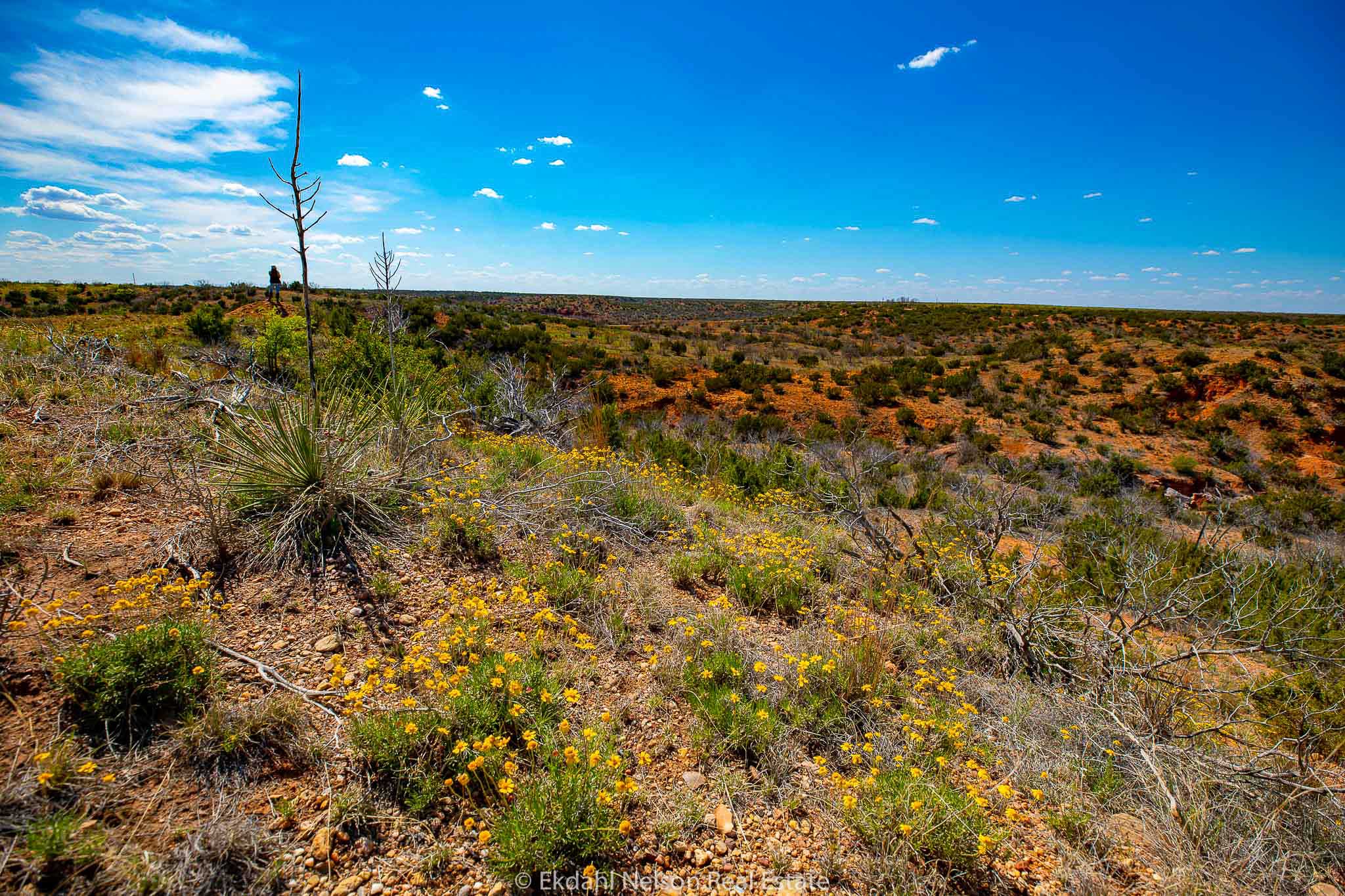 Ranch Land For Sale Throckmorton County