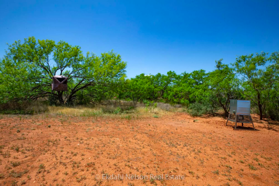 Abilene farm land