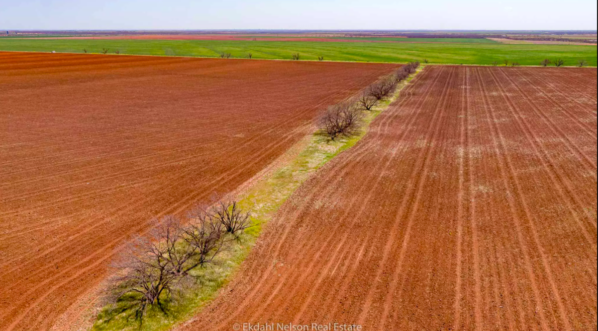 Ranch Land For Sale Throckmorton County