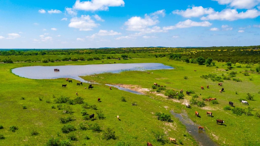 Ranch Land For Sale Dickens County