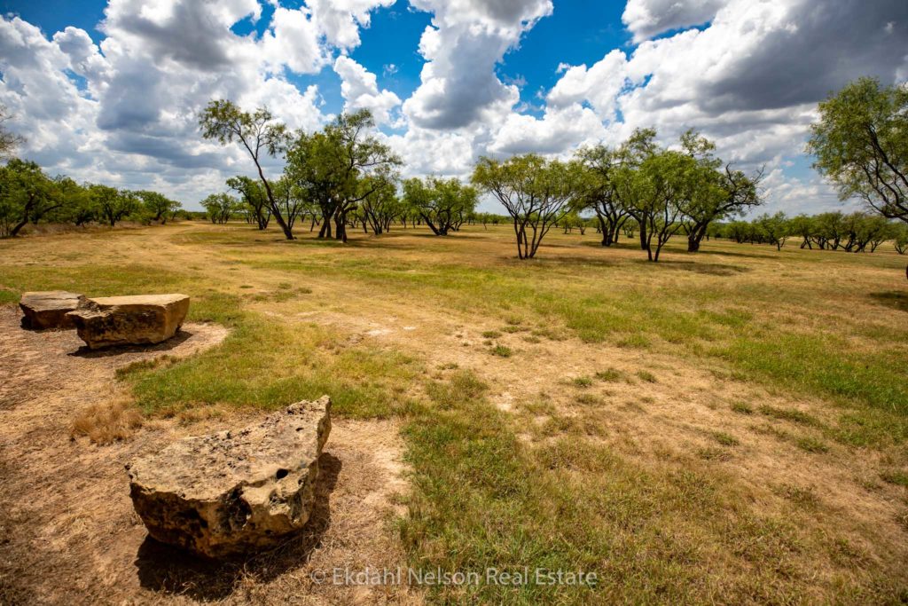 West Texas ranch land - Ranch Land In Eastland County