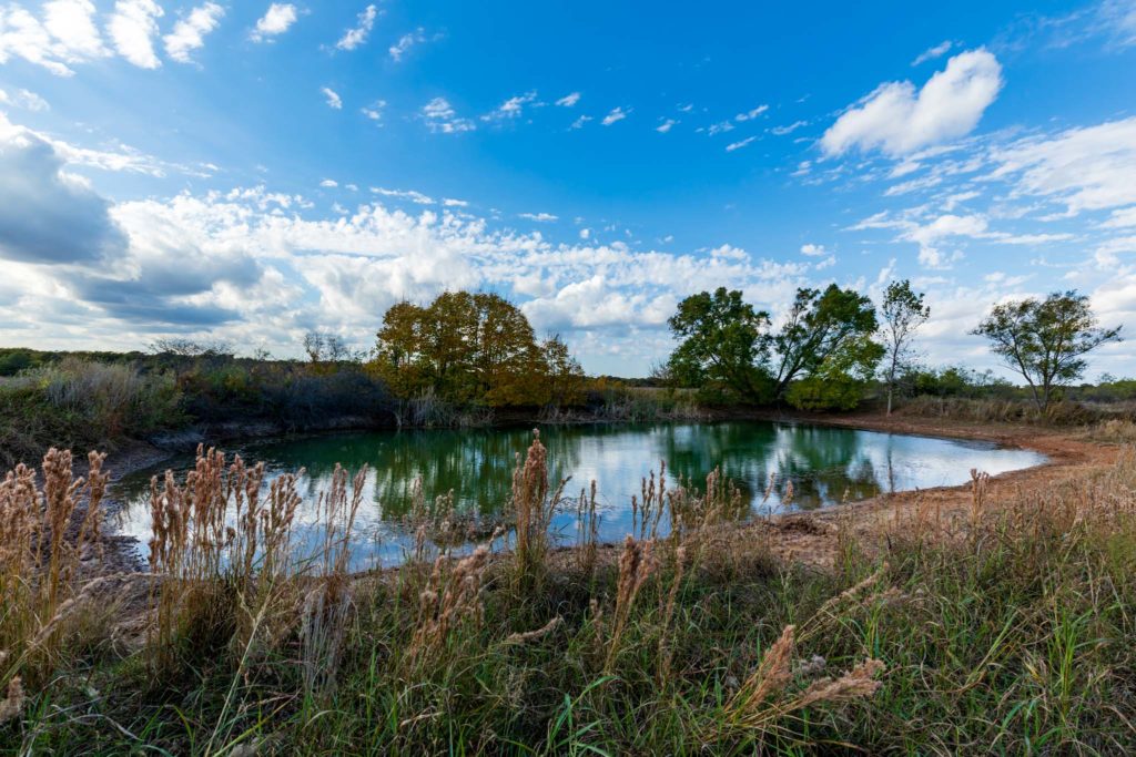 Hunting land for sale Jones County Tx