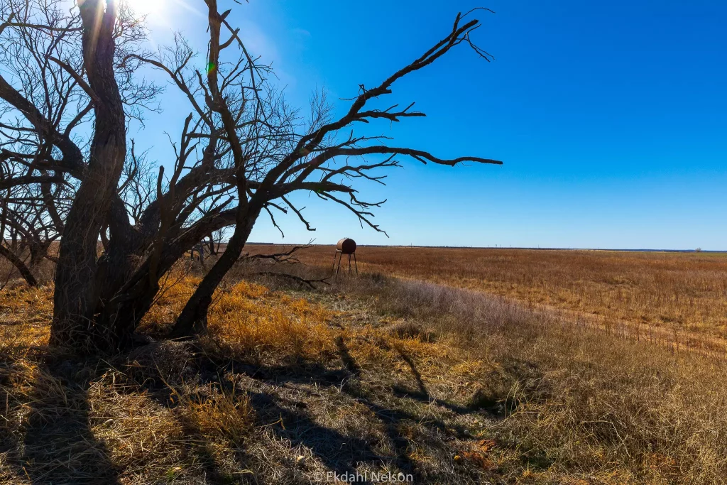 Hunting land for sale Brown County land - Ekdahl Nelson Real Estate