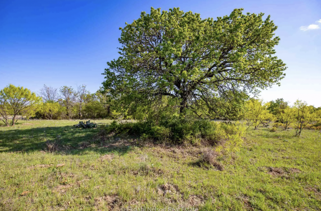 Residential Property for Sale in Easton County