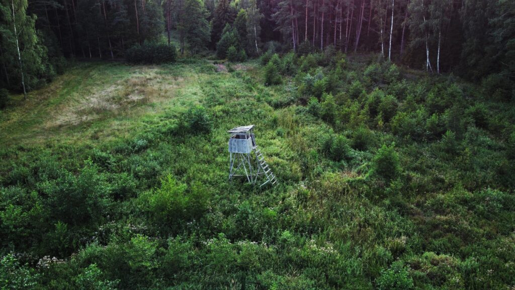 area around hunting land for sale in texas