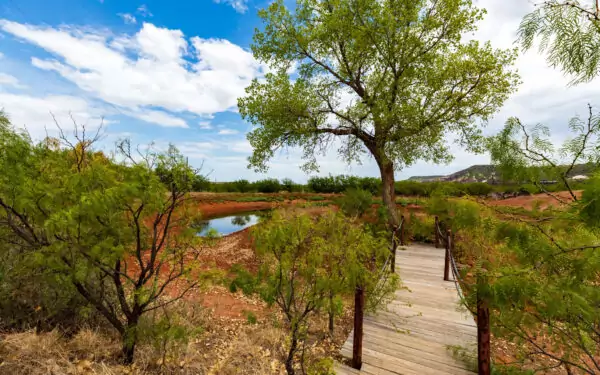 abilene ranch - Home Valuation West Texas - Ekdahl Nelson Real Estate