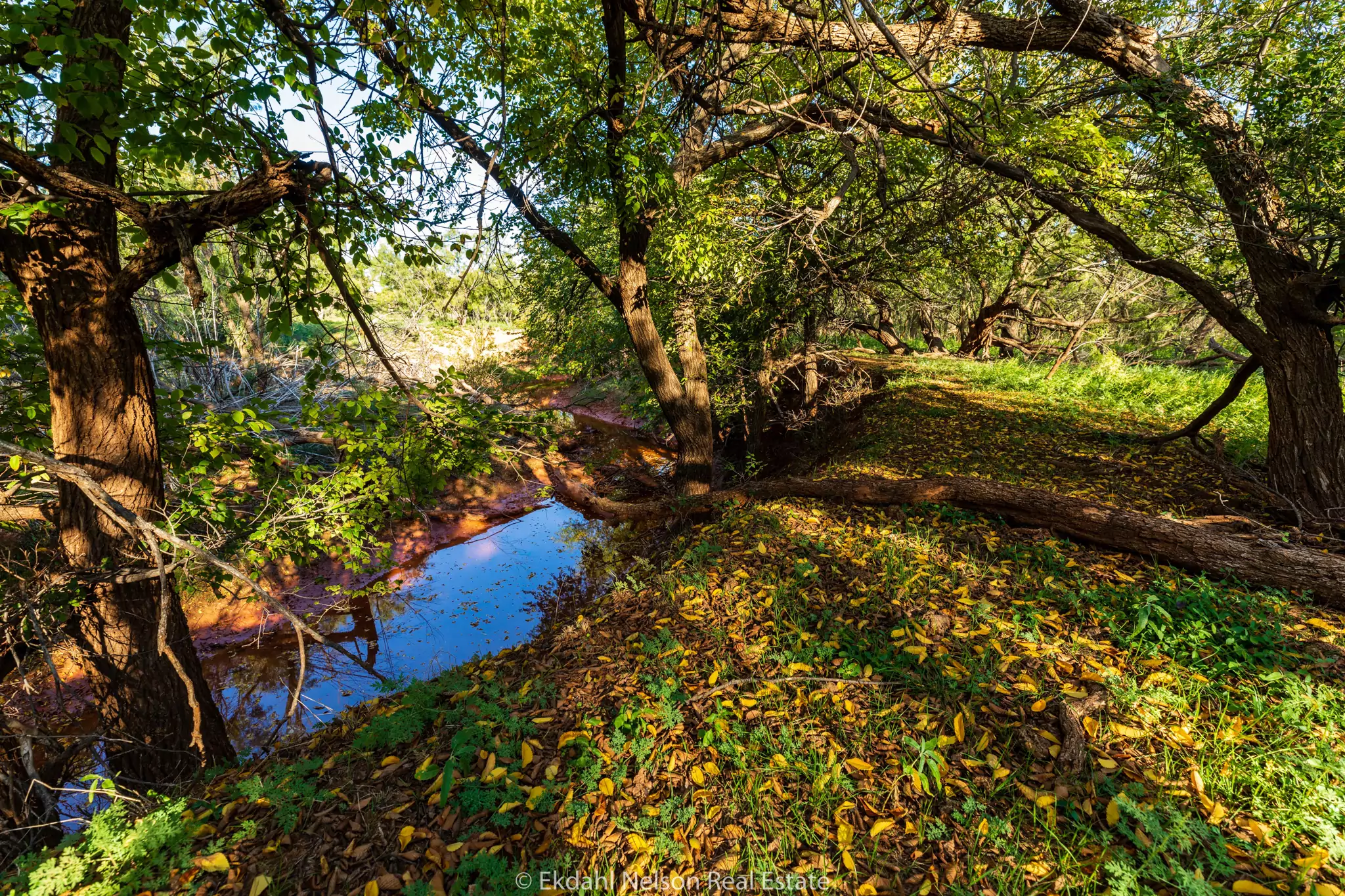 ranch with creek running through it - ranch land for sale abilene - ekdahl nelson real estate