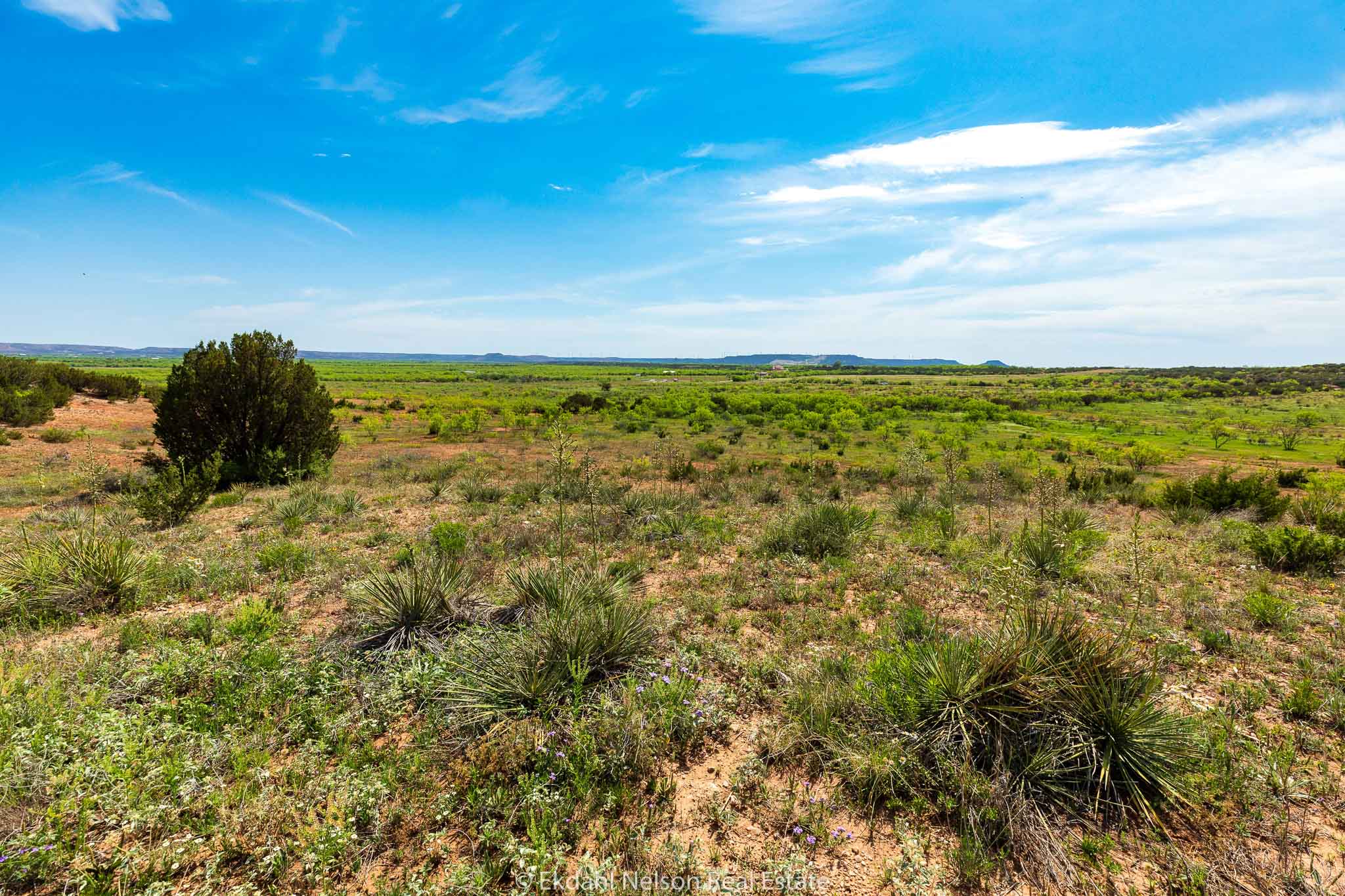 The Longley Ranch