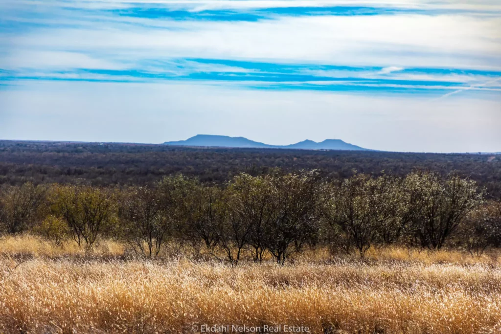 stonewall county land with hill in the background - Land For Sale Stonewall County - Ekdahl Nelson Real Estate
