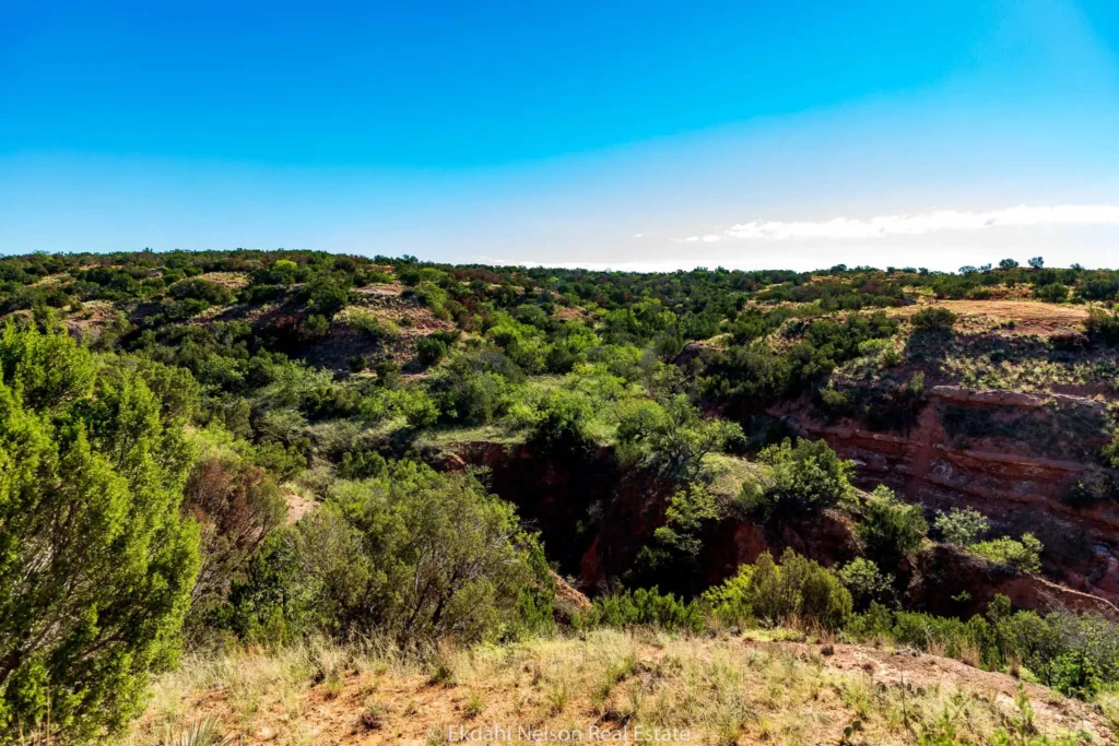 Land For Sale Aspermont Tx - ekdahl nelson real estate