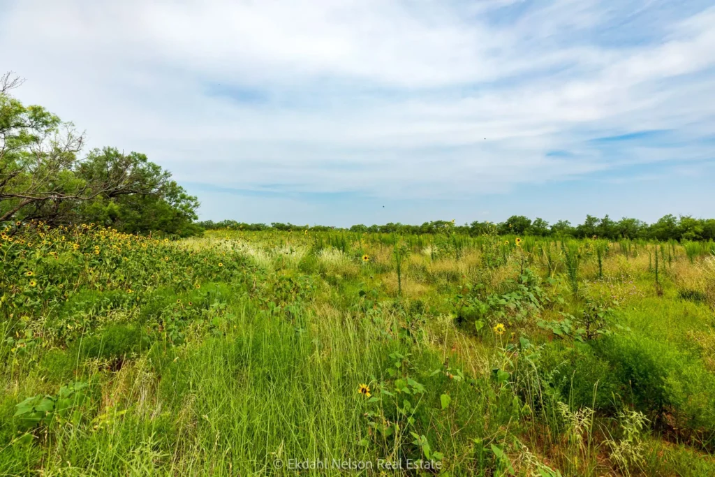 Image of field to convey Hunting Farms For Sale - ekdahl nelson real estate