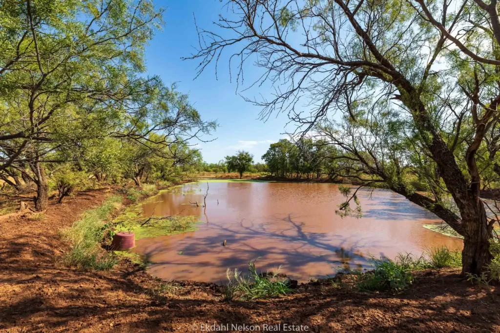 Image of open land pond to convey how Ekdahl Nelson Real Estate helps you search for Quail Hunting Land for Sale in Texas