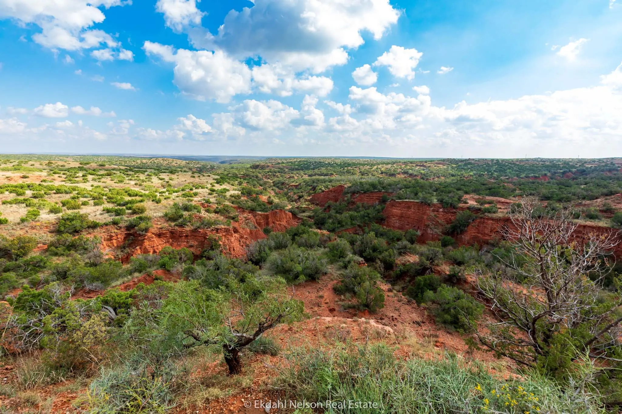 Image of a Red Bluff Canyon to convey the need for Texas land for sale 2024 - Ekdahl Nelson Real Estate