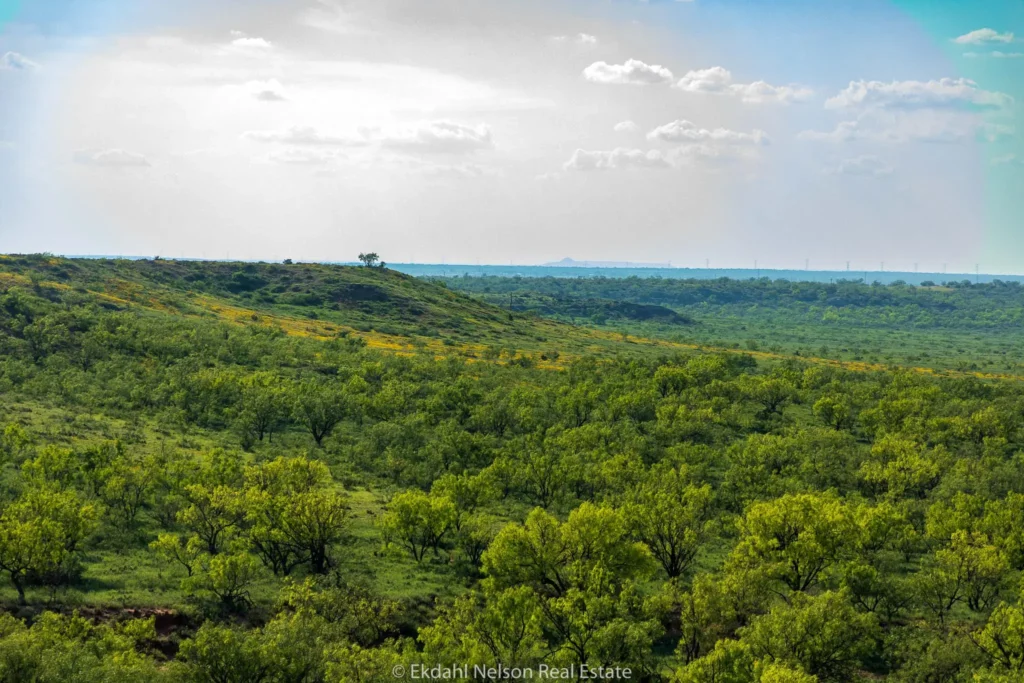 Image of Raw Land For Sale in Texas - Ekdahl Nelson Real Estate