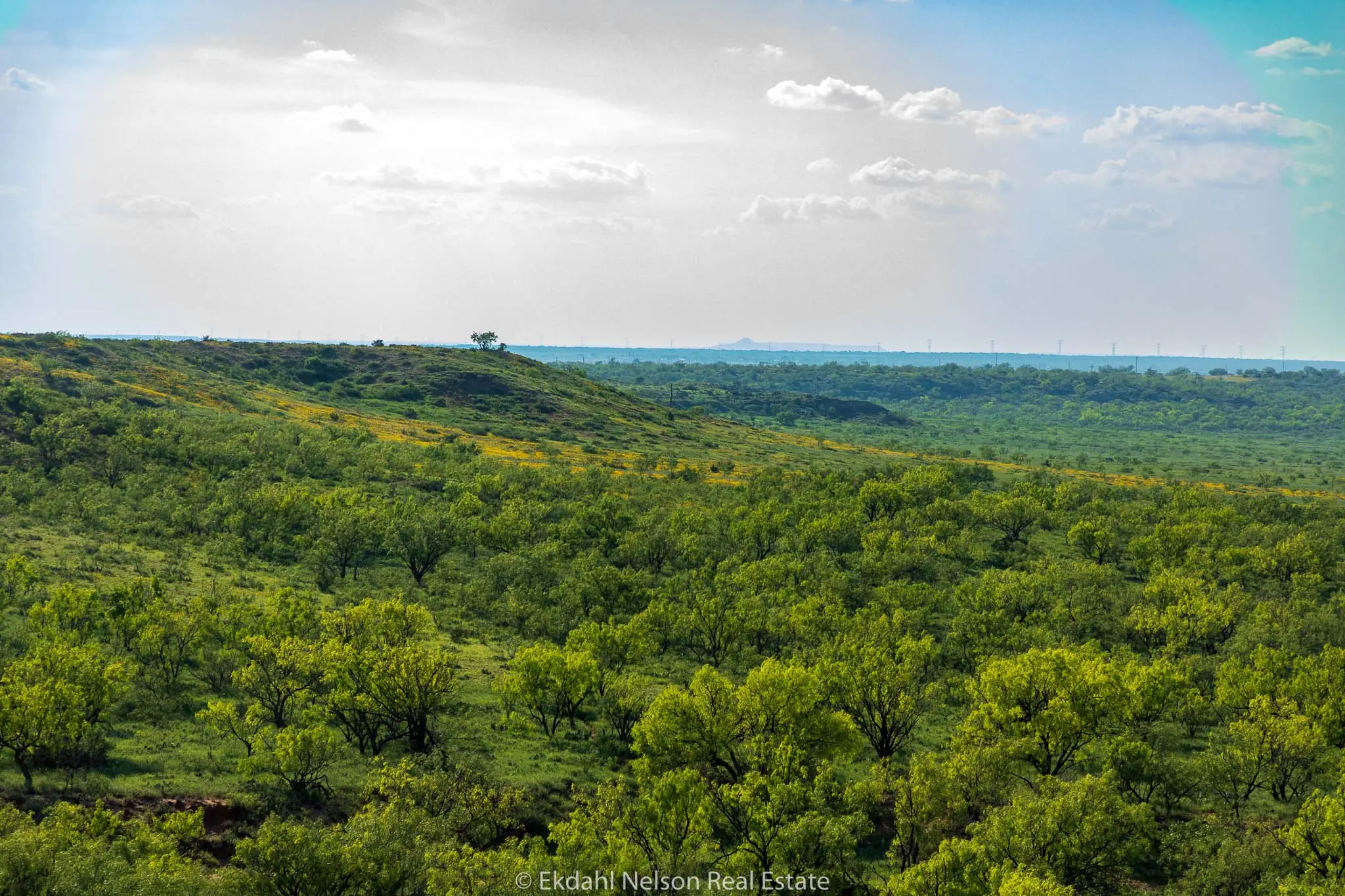 Image of Raw Land For Sale in Texas - Ekdahl Nelson Real Estate