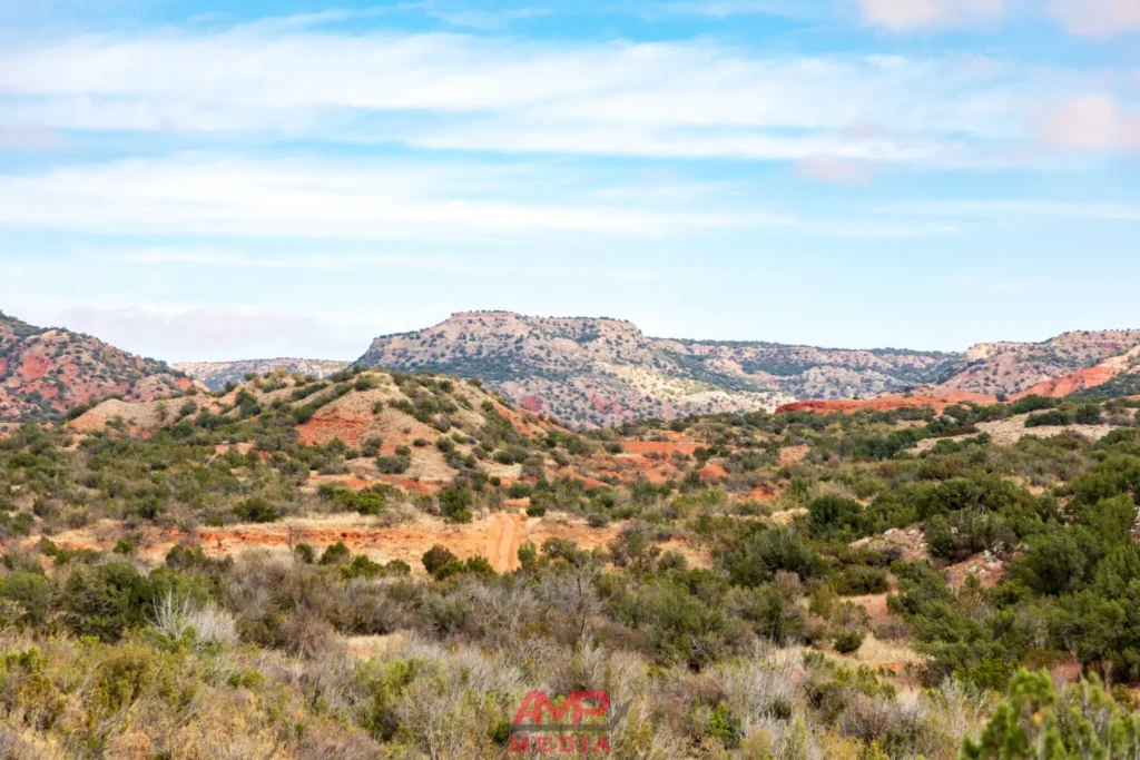 Image of a West Texas ranch land for sale - Ekdahl Nelson Real Estate