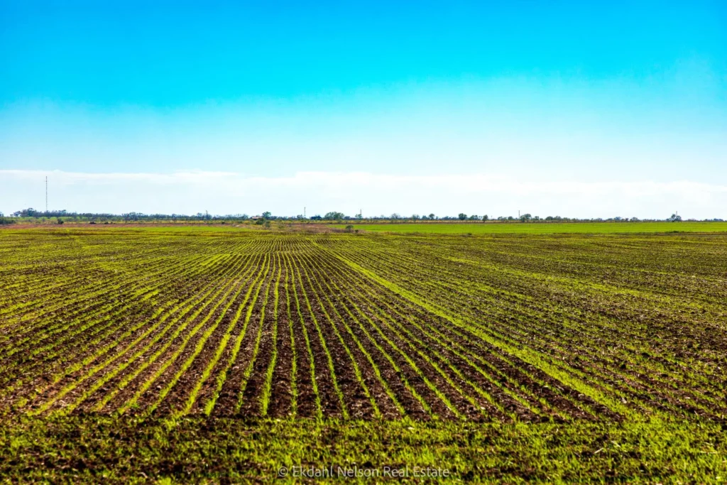 Avoca TX Land for sale - Ekdahl Nelson Real Estate