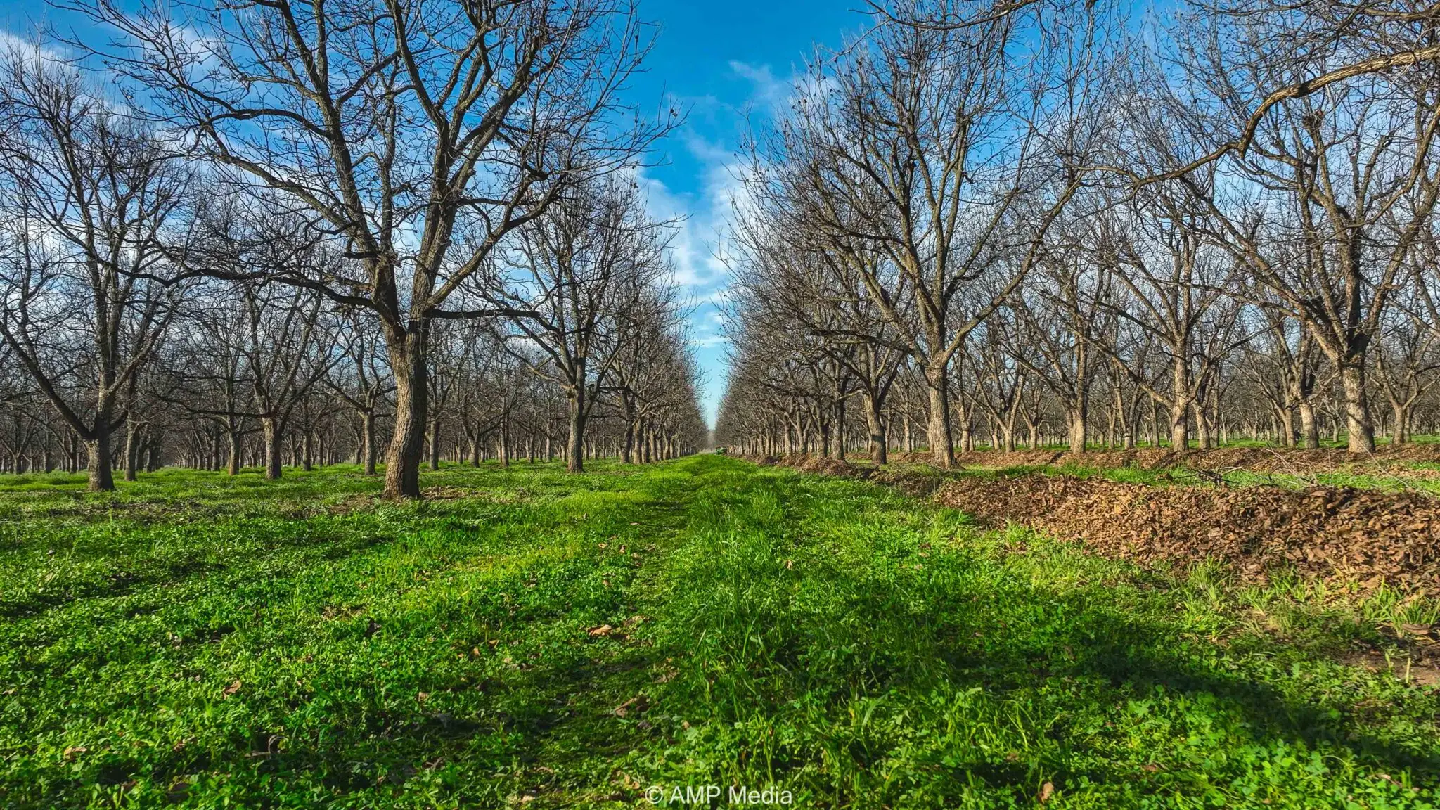 Image of Farm and Ranch Properties - Ekdahl Nelson Real Estate