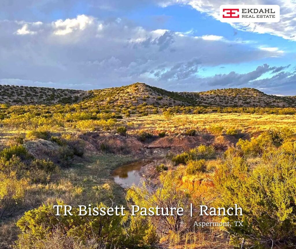 TR Bissett Pasture Ranch